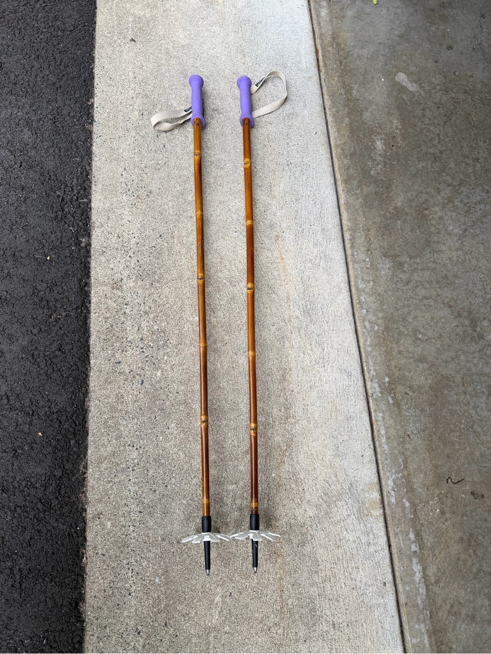 Grass Sticks Ski Poles